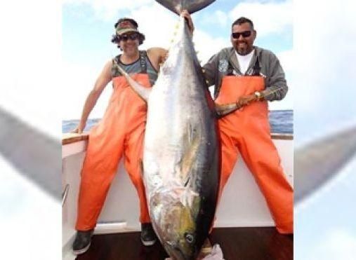 У побережья Мексики выловили 200-килограммового тунца