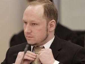 Брейвик изучал теракты, которые совершала "Аль-Каида" Брейвик изучал теракты, которые совершала "Аль-Каида"