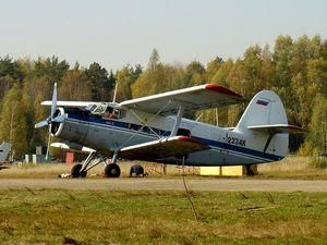 На Сумщині перекинувся літак, жертв немає