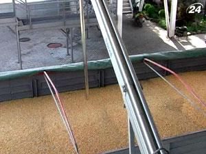 Україна за рік майже удвічі збільшила експорт зерна Україна за рік майже удвічі збільшила експорт зерна