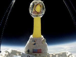 Гумова курка злітала в стратосферу Гумова курка злітала в стратосферу