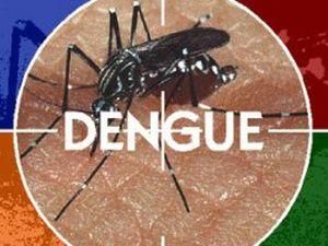 В Рио-де-Жанейро вспыхнула эпидемия лихорадки В Рио-де-Жанейро вспыхнула эпидемия лихорадки