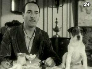 В США выйдет книга мемуаров пса Угги В США выйдет книга мемуаров пса Угги