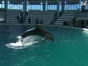 В Євпаторії готують до відкриття найбільший в Україні дельфінарій