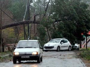Ураган во Франции обесточил три провинции и заблокировал дорожное движение Ураган во Франции обесточил три провинции и заблокировал дорожное движение