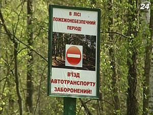 МНС нагадує: розпалювати багаття в лісі заборонено