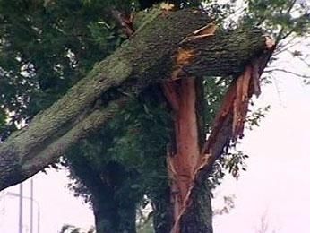 Ураган оставил без света 33 тысячи россиян Ураган оставил без света 33 тысячи россиян