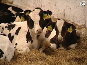 З 1 червня розпочнуться дотаційні виплати фермерам З 1 червня розпочнуться дотаційні виплати фермерам