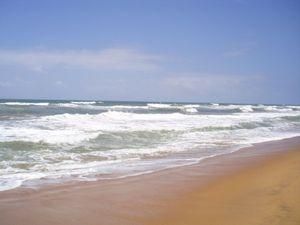 Журналіст потонув, коли рятував дитину Журналіст потонув, коли рятував дитину