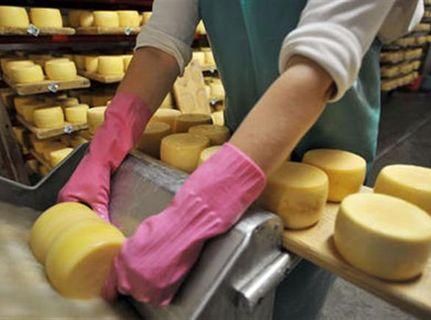 Росія чекає проби сирів, щоб пустити їх на ринок