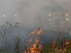 Горить Ялтинський заповідник - 6 травня 2012 - Телеканал новин 24 Горить Ялтинський заповідник - 6 травня 2012 - Телеканал новин 24