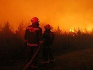 У Ялті локалізували пожежу в заповіднику