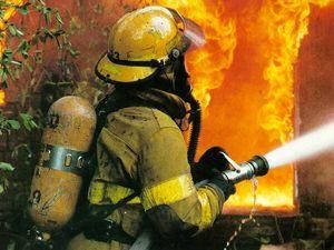 Пожар в Ялтинском заповеднике полностью ликвидировали Пожар в Ялтинском заповеднике полностью ликвидировали