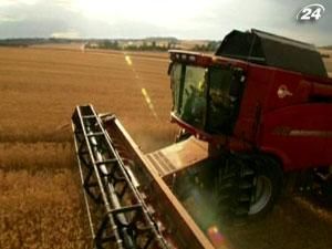 ФАО: Объем зерновых возрастет за счет кормовых культур ФАО: Объем зерновых возрастет за счет кормовых культур