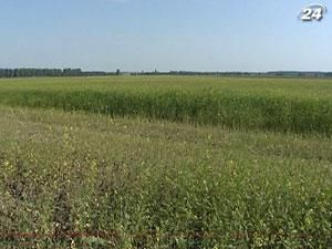 В Украине за первый квартал купили почти 500 га земли В Украине за первый квартал купили почти 500 га земли