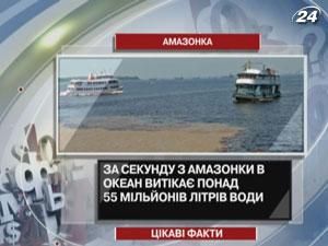 Амазонка - друга за довжиною і найповноводніша ріка на планеті Амазонка - друга за довжиною і найповноводніша ріка на планеті