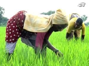 За 10 років було укладено угод на купівлю 2 млн кв. км. землі За 10 років було укладено угод на купівлю 2 млн кв. км. землі