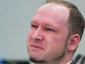 В Брейвика на суде бросили ботинок В Брейвика на суде бросили ботинок