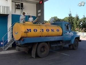 Восстановление поставки молочных продуктов из Беларуси не повлияет на украинский рынок