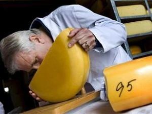 Росспоживнагляд має претензії до двох українських виробників сиру