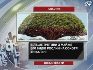 Интересные факты об изолированном архипелаге в Индийском океане