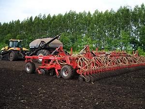 Україна засіяла 97% зернових Україна засіяла 97% зернових