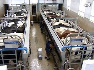 Експерти: Агросектор потребує комплексної політики Експерти: Агросектор потребує комплексної політики