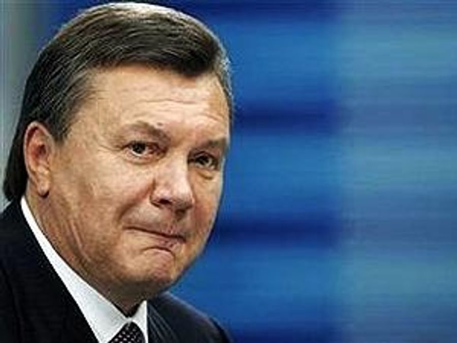 Янукович розповів, коли шукатиме політичне рішення у ситуації із Тимошенко Янукович розповів, коли шукатиме політичне рішення у ситуації із Тимошенко
