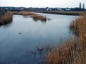 100 тонн фекалий попали в реку, впадающую в Черное море 100 тонн фекалий попали в реку, впадающую в Черное море