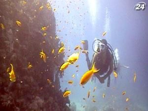 Хургада: Нырнуть в подводный мир коралловых рифов можно за $50-65 Хургада: Нырнуть в подводный мир коралловых рифов можно за $50-65