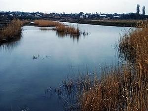 Аварию, из-за которой в реку вытекло 100 тонн фекалий, ликвидировали Аварию, из-за которой в реку вытекло 100 тонн фекалий, ликвидировали