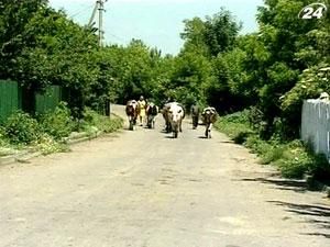 Підсумок тижня: Селян закликають об’єднуватись в кооперативи Підсумок тижня: Селян закликають об’єднуватись в кооперативи