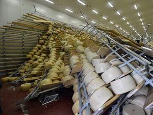 Землетрясение в Италии лишил производителей сыра 200 миллионов евро
