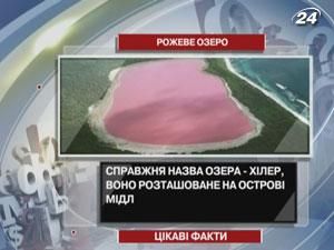 Розовое озеро можно увидеть неподалеку от побережья Западной Австралии Розовое озеро можно увидеть неподалеку от побережья Западной Австралии