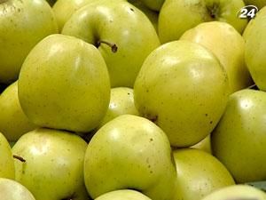 В Украине будут пиарить польские яблоки В Украине будут пиарить польские яблоки