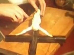 Іспанського співака судять за те, що він вчив готувати Ісуса Іспанського співака судять за те, що він вчив готувати Ісуса