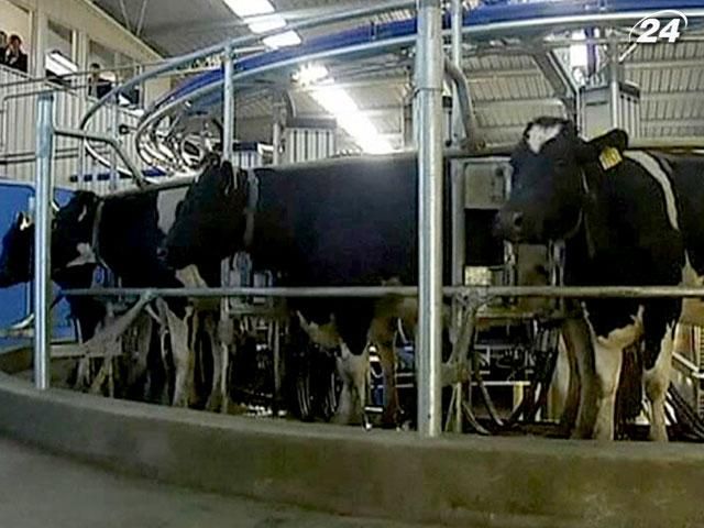 В Австралії почала функціонувати роботизована ферма В Австралії почала функціонувати роботизована ферма