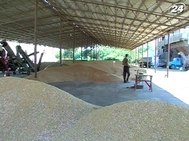 Мінагропрод: Цьогорічний врожай зернових складе 47,2 млн тонн