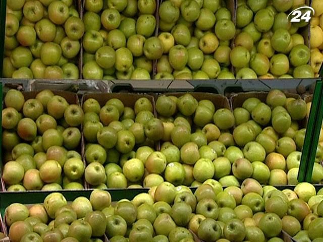 В Украине и России будут рекламировать польские яблоки