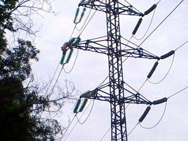 В Харькове мужчина загорелся на линии электропередач и выжил В Харькове мужчина загорелся на линии электропередач и выжил