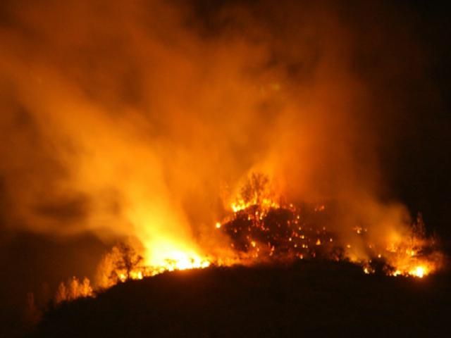 В Росії під час гасіння лісової пожежі загинуло 9 людей