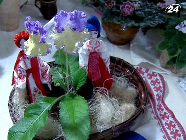 Селекціонери вивели сорт фіалки, схожу на український прапор Селекціонери вивели сорт фіалки, схожу на український прапор