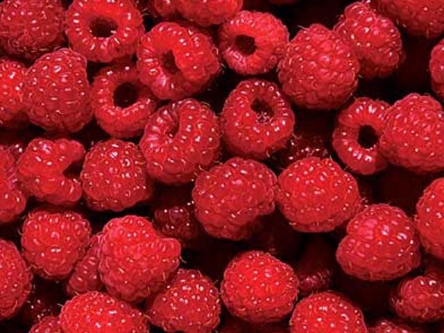 Уряд закупив собі малину по 672 гривні за кілограм Уряд закупив собі малину по 672 гривні за кілограм