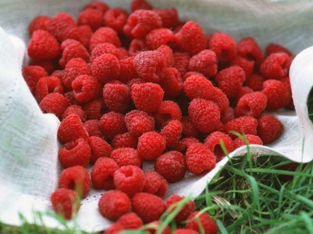 В Уряді заперечують купівлю малини по 672 гривні В Уряді заперечують купівлю малини по 672 гривні