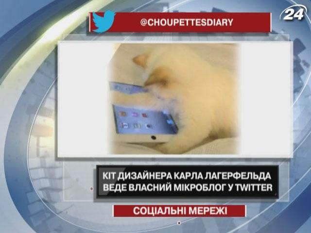 Кот дизайнера Карла Лагерфельда ведет собственный микроблог в Twitter