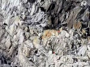 В Перу в результате катастрофы вертолета с иностранцами погибли 14 человек В Перу в результате катастрофы вертолета с иностранцами погибли 14 человек