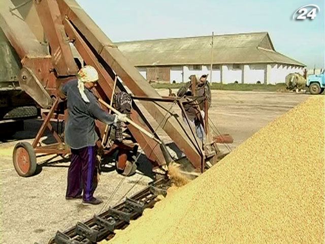 Украина экспортировала около 20 млн т зерновых
