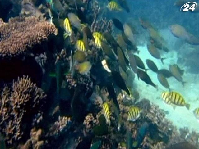 Австралія створить найбільшу в світі мережу морських заповідників Австралія створить найбільшу в світі мережу морських заповідників