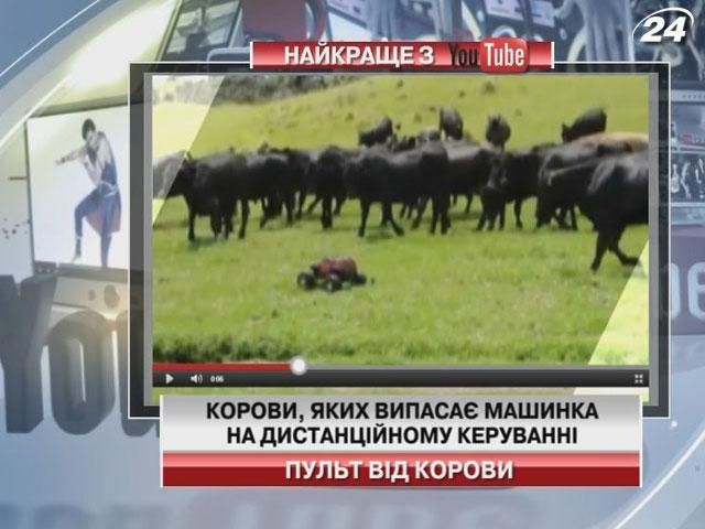 Машинка на дистанційному керуванні може випасати корову
