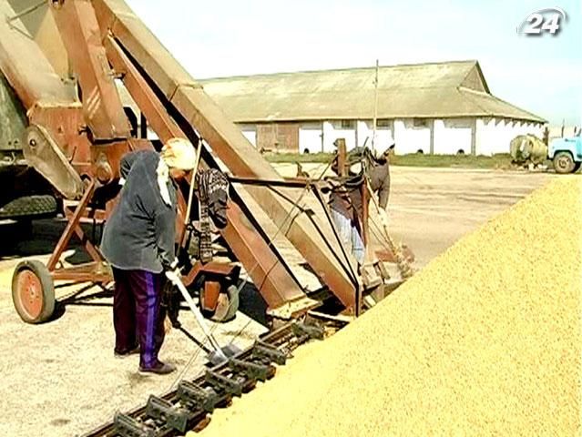 Фермеры могут не бояться обвала цен на зерновые Фермеры могут не бояться обвала цен на зерновые